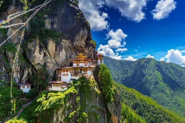 paro.