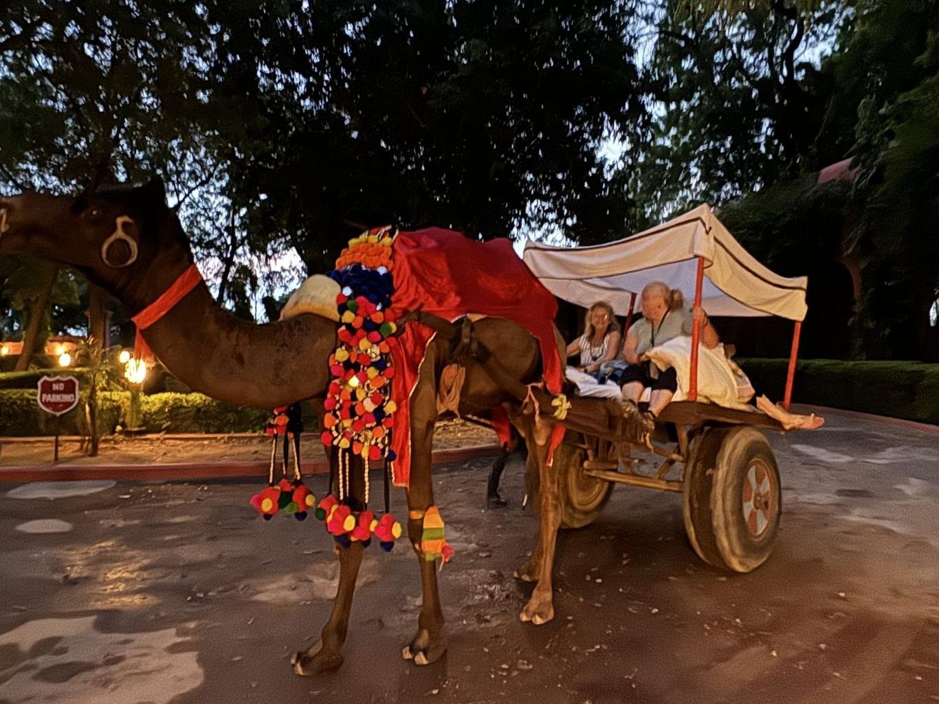 Rajasthan Tour