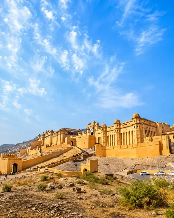Forts & Palaces