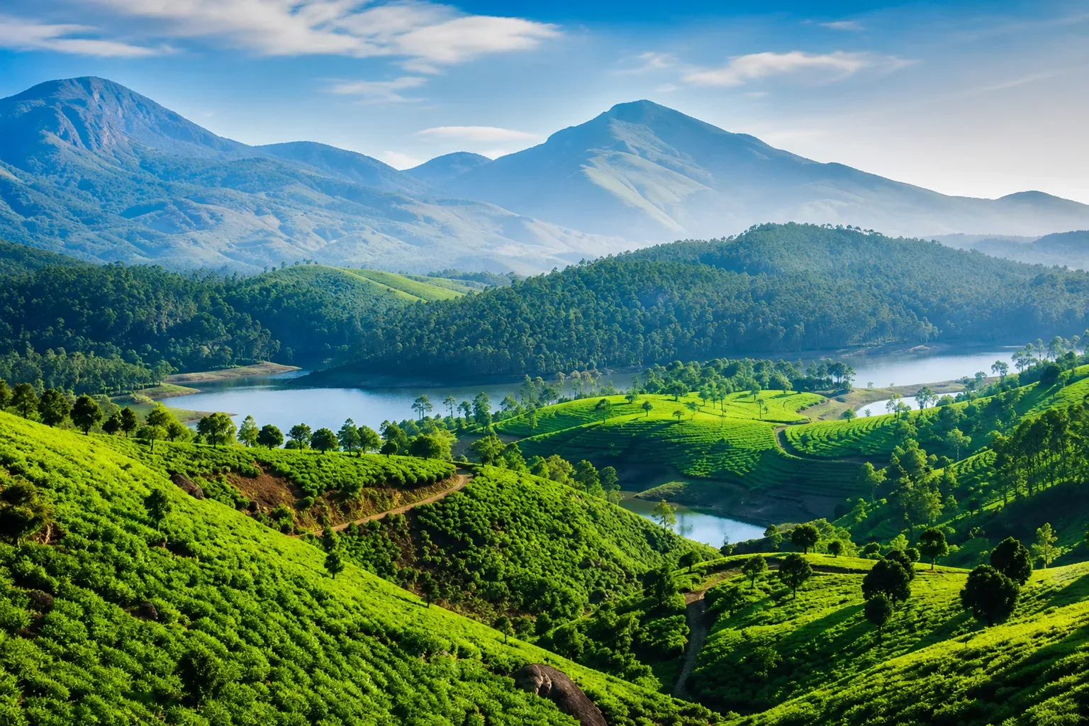 DAY 9: THEKKADY / BACKWATERS – 135 km
