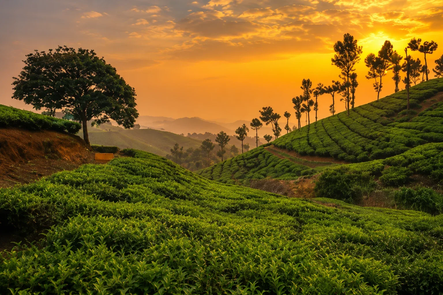 DAY 6: TANJORE / MADURAI (199 KM – 3H30)