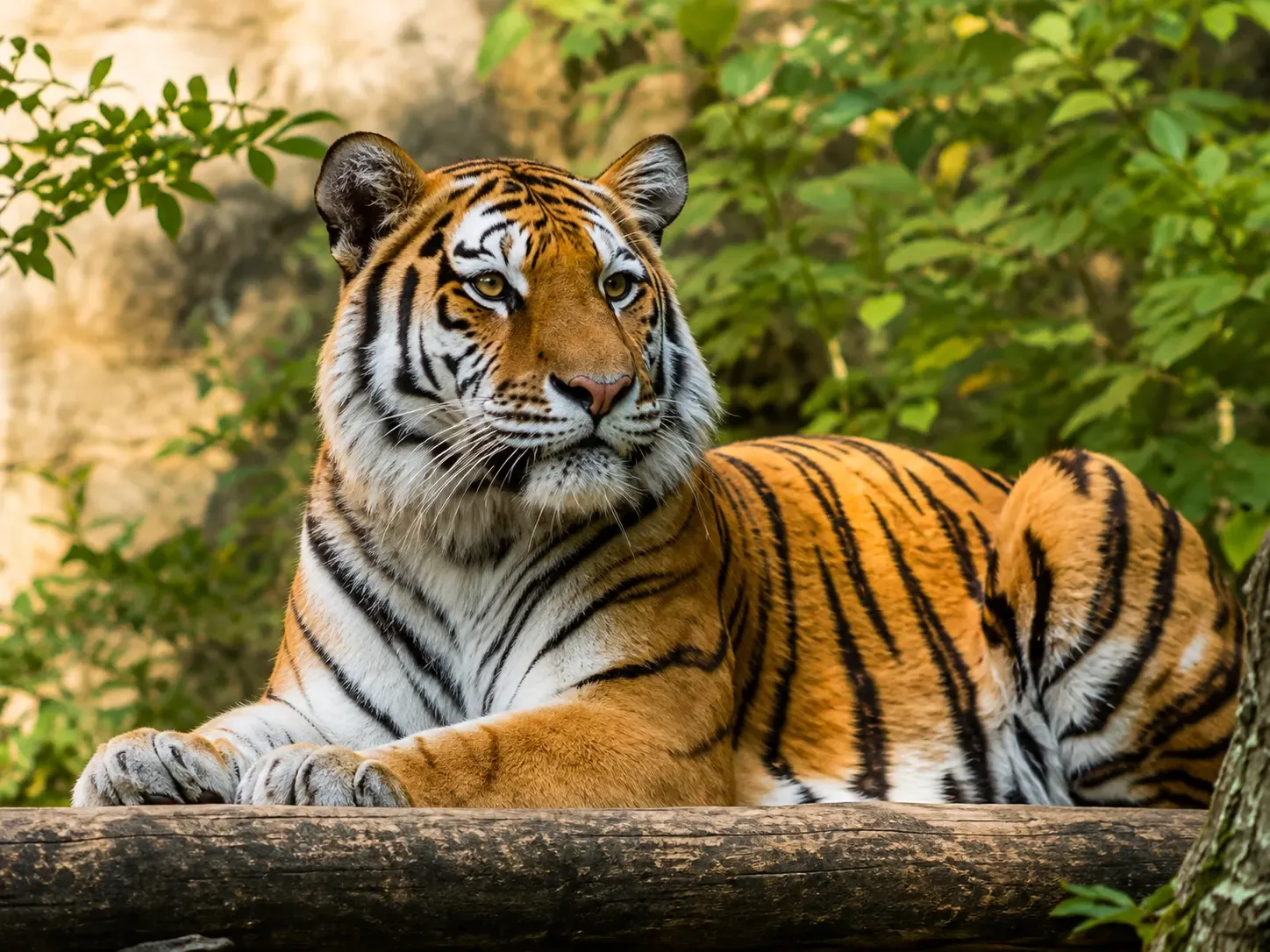 DAY 20: Jaipur / Ranthambore - 200 km