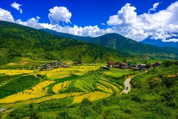 DAY 15: Punakha