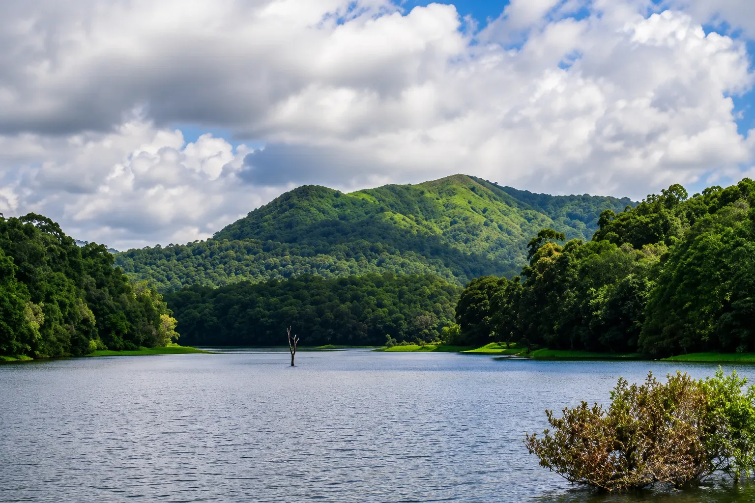 DAY 8: THEKKADY